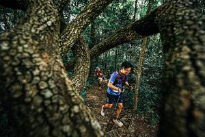 BIB: 
                            <button type="button" onclick="openModal(25393555)" class="btn btn-primary btn-sm float-right btn-popup" data-toggle="modal" data-target=".modal-high-quality">
                        <i class="fas fa-shopping-cart"></i> Add to Cart
                    </button>
                                            <button type="button" onclick="isThisMe(25393555, true)" class="btn btn-success btn-sm float-right btn-popup btn-isme hidden" data-toggle="tooltip" data-placement="bottom" title="นี่คือรูปของคุณใช่ไหม คลิกที่นี่เพื่อเอาเข้าอัลบั้ม">
                        <i class="fas fa-plus"></i> Add to album
                    </button>
                    <button type="button" onclick="isThisMe(25393555, false)" class="btn btn-warning btn-sm float-right btn-popup btn-isnotme hidden">
                        <i class="fas fa-ban"></i> Remove from album
                    </button>